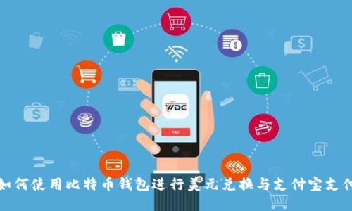 如何使用比特币钱包进行美元兑换与支付宝支付