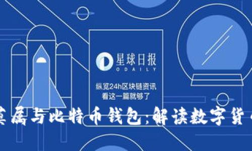李晨的非你莫属与比特币钱包：解读数字货币投资新趋势