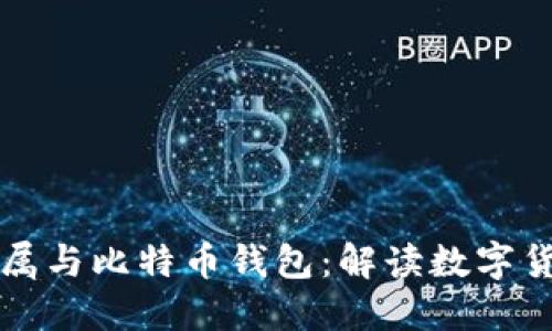 李晨的非你莫属与比特币钱包：解读数字货币投资新趋势