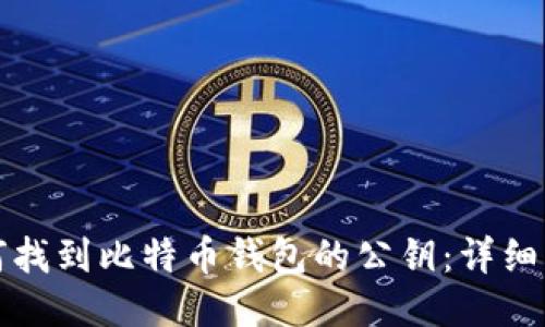 如何找到比特币钱包的公钥：详细指南