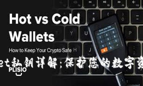 TPWallet私钥详解：保护您的数字资产安全