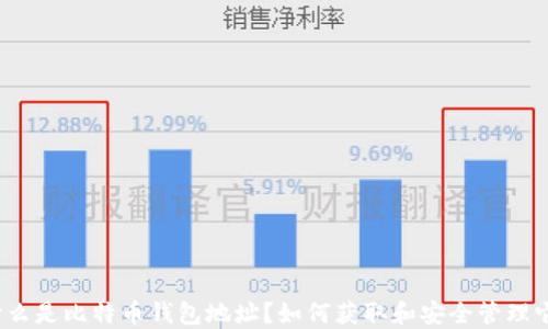 
什么是比特币钱包地址？如何获取和安全管理它？