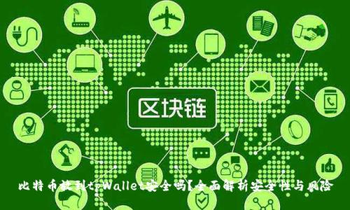 比特币放到tpWallet安全吗？全面解析安全性与风险