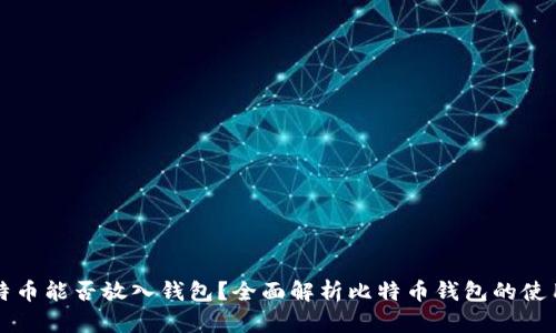 半枚比特币能否放入钱包？全面解析比特币钱包的使用与管理