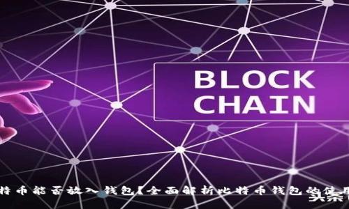 半枚比特币能否放入钱包？全面解析比特币钱包的使用与管理