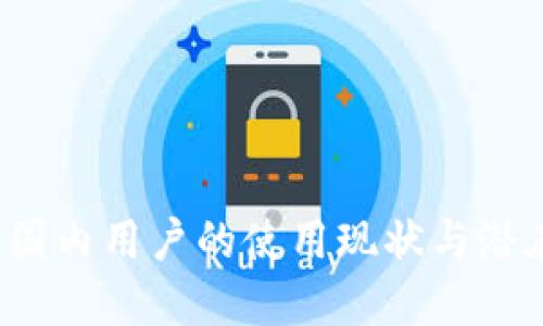 TPWallet：国内用户的使用现状与潜在解决方案