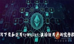 如何下载和使用tpWallet：波场链用户的完整指南