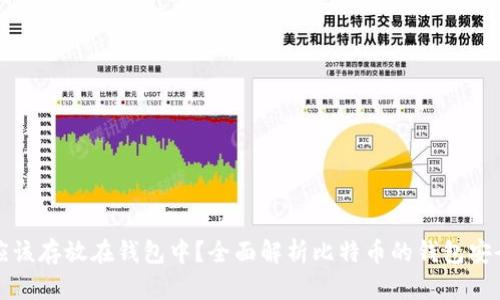 比特币是否应该存放在钱包中？全面解析比特币的钱包安全性与必要性