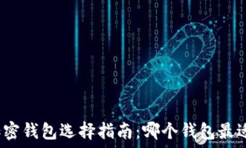   
数字加密钱包选择指南：哪个钱包最适合你？