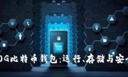 如何选择200G比特币钱包：运行、存储与安全性全面解析