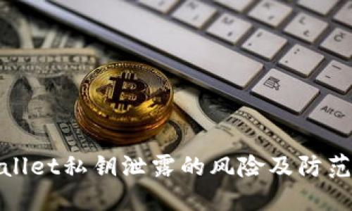 TPWallet私钥泄露的风险及防范措施