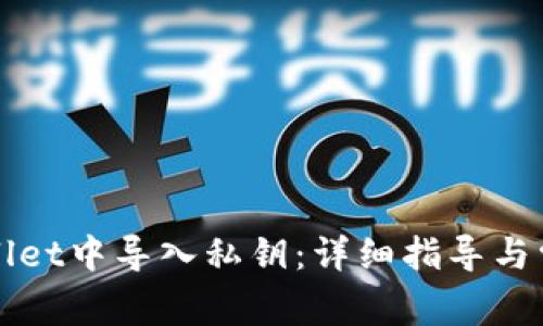 如何在tpWallet中导入私钥：详细指导与常见问题解答