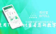 如何使用TPWallet查看您的数