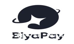如何将CHZ币转入TP Wallet：