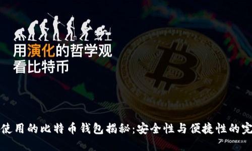 李笑来使用的比特币钱包揭秘：安全性与便捷性的完美结合