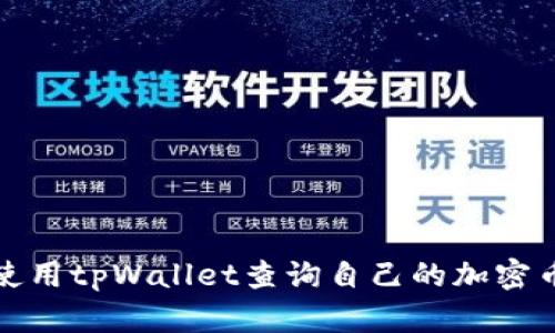 如何使用tpWallet查询自己的加密币去向