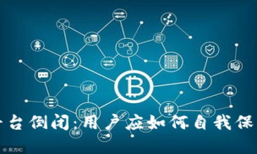 虚拟币钱包平台倒闭：用户应如何自我保护与应对策略