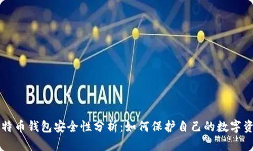 比特币钱包安全性分析：如何保护自己的数字资产