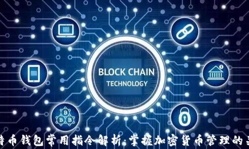 
比特币钱包常用指令解析：掌握加密货币管理的关键
