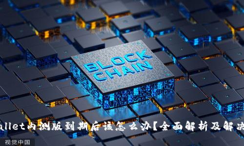 TPWallet内测版到期后该怎么办？全面解析及解决方案