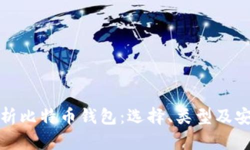 全面解析比特币钱包：选择、类型及安全策略