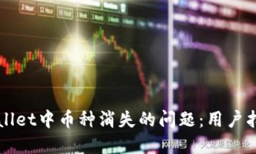 解决TPWallet中币种消失的问题：用户指南与建议
