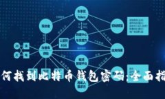 如何找到比特币钱包密码