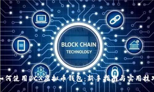 如何使用BCX虚拟币钱包：新手指南与实用技巧