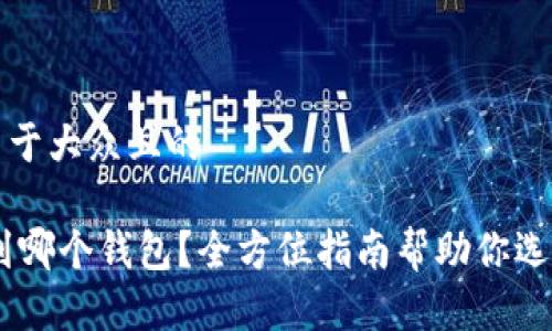 思考一个易于大众且的

USDT提币到哪个钱包？全方位指南帮助你选择合适钱包