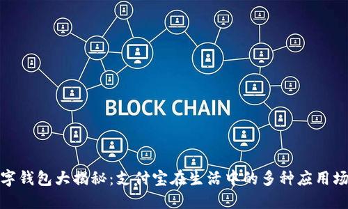 数字钱包大揭秘：支付宝在生活中的多种应用场景