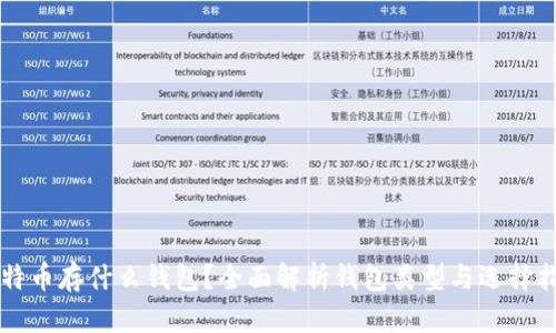 比特币存什么钱包？全面解析钱包类型与选择指南