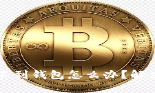 虚拟币搜索不到钱包怎么办？解决方案与指南