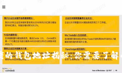 比特币大佬的钱包地址揭秘：你需要了解的背后故事