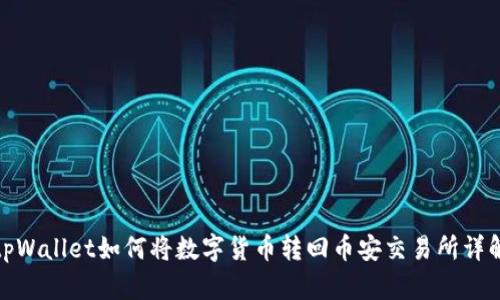 tpWallet如何将数字货币转回币安交易所详解