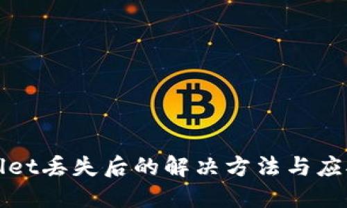 TPWallet丢失后的解决方法与应对策略