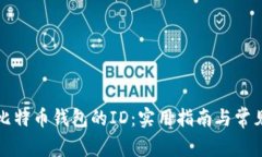 如何找回比特币钱包的I