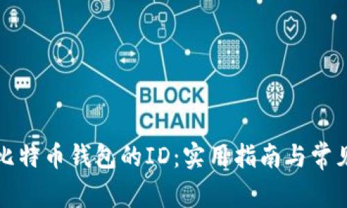 如何找回比特币钱包的ID：实用指南与常见问题解答