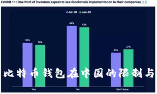 全面解析比特币钱包在中国的限制与解决方案
