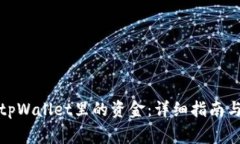 如何提取tpWallet里的资金：详细指南与注意事项