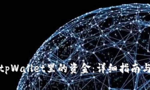如何提取tpWallet里的资金：详细指南与注意事项