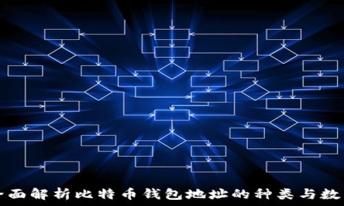    
全面解析比特币钱包地址的种类与数量