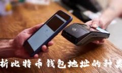    全面解析比特币钱包地
