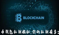 比特币钱包私钥揭秘：你