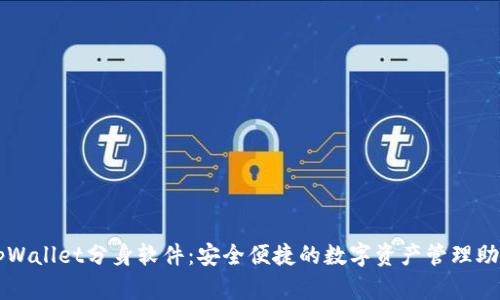 tpWallet分身软件：安全便捷的数字资产管理助手
