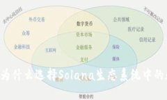 解密Solana钱包：为什么选择Solana生态系统中的数