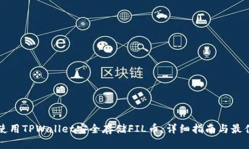 如何使用TPWallet安全存储FIL币：详细指南与最佳实践