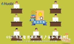 USDT钱包暂停提现：用户该如何应对？